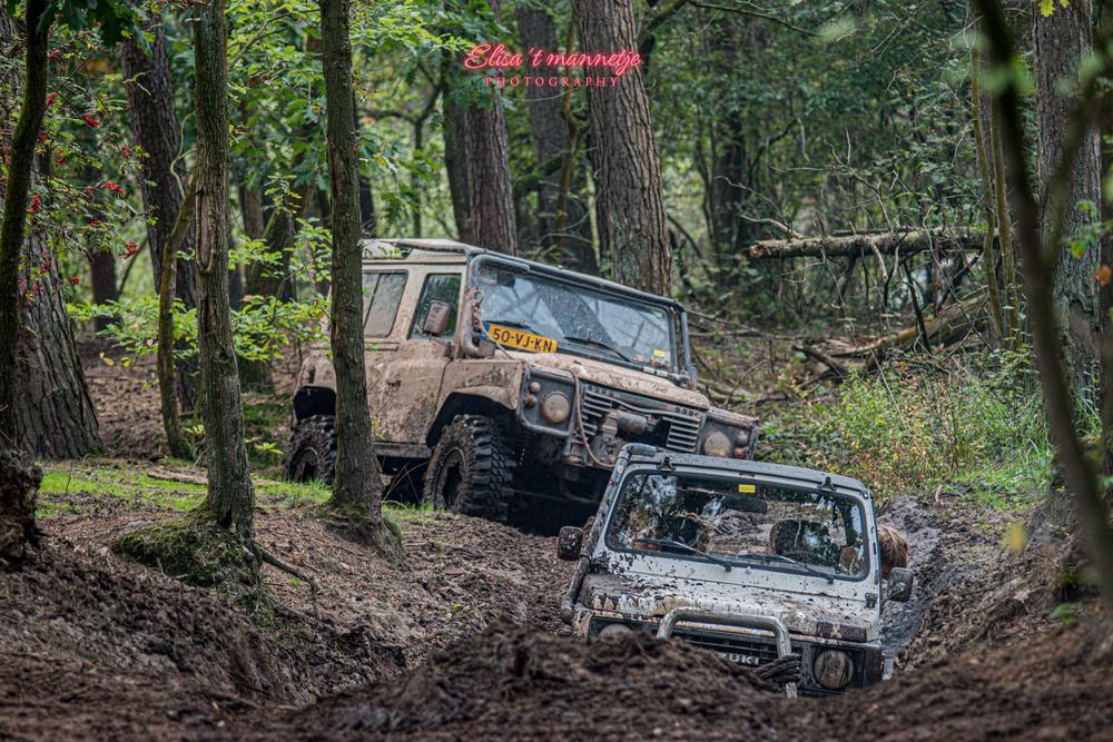 DSC_0229.jpg
