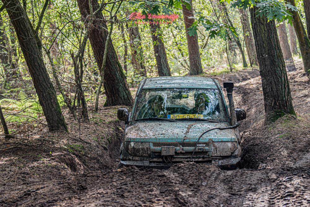 DSC_0339.jpg